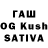 Псилоцибиновые грибы GOLDEN TEACHER Seeker_King