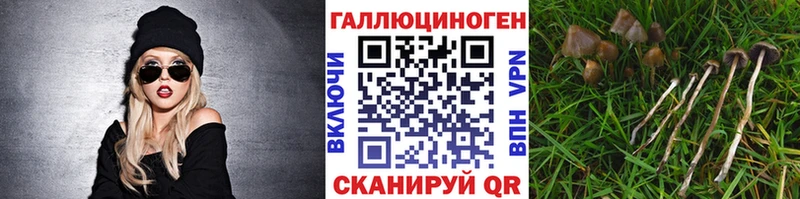Псилоцибиновые грибы мицелий  Купить где  Камышин 